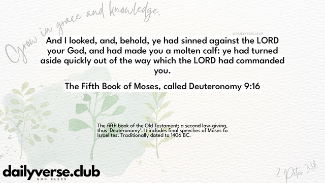 Bible Verse Wallpaper 9:16 from The Fifth Book of Moses, called Deuteronomy