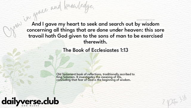 Bible Verse Wallpaper 1:13 from The Book of Ecclesiastes