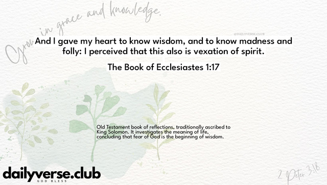 Bible Verse Wallpaper 1:17 from The Book of Ecclesiastes
