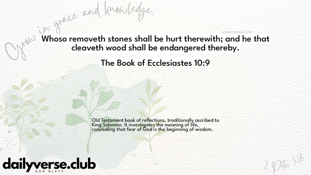 Bible Verse Wallpaper 10:9 from The Book of Ecclesiastes