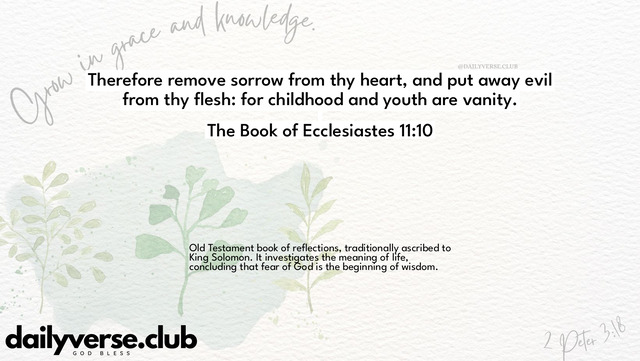 Bible Verse Wallpaper 11:10 from The Book of Ecclesiastes