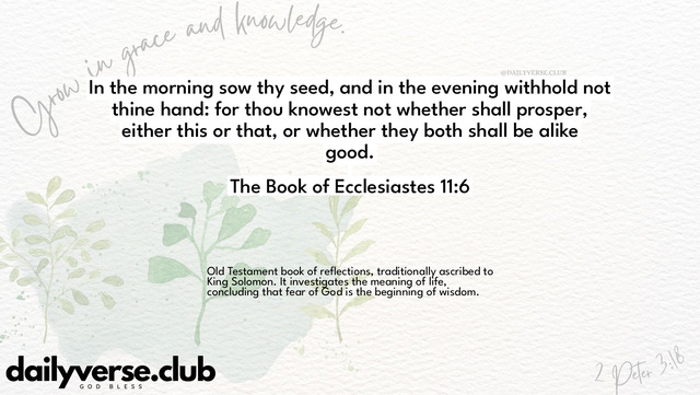 Bible Verse Wallpaper 11:6 from The Book of Ecclesiastes