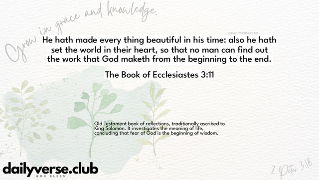 Bible Verse Wallpaper 3:11 from The Book of Ecclesiastes