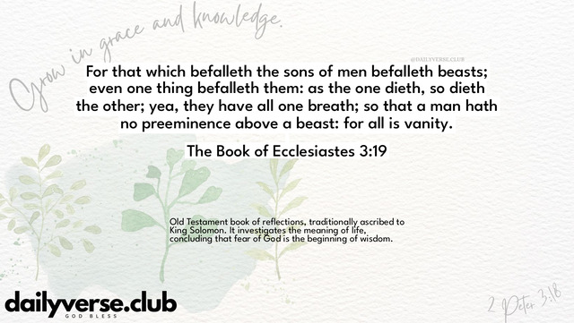 Bible Verse Wallpaper 3:19 from The Book of Ecclesiastes