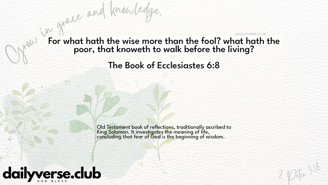 Bible Verse Wallpaper 6:8 from The Book of Ecclesiastes