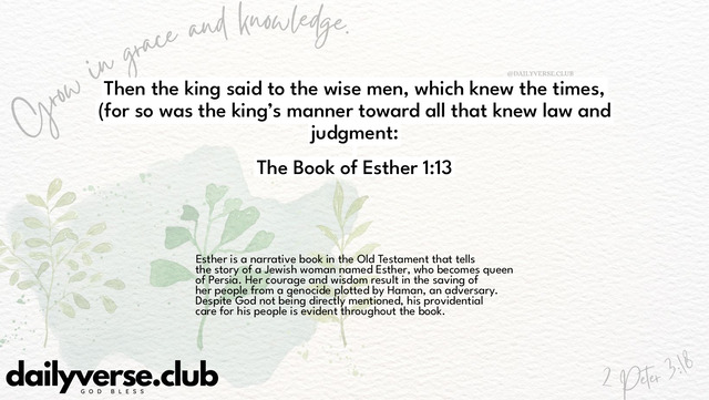 Bible Verse Wallpaper 1:13 from The Book of Esther