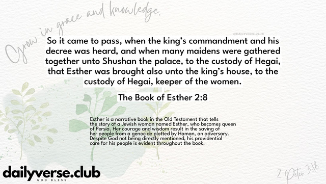 Bible Verse Wallpaper 2:8 from The Book of Esther