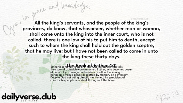 Bible Verse Wallpaper 4:11 from The Book of Esther
