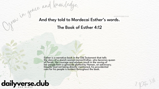 Bible Verse Wallpaper 4:12 from The Book of Esther