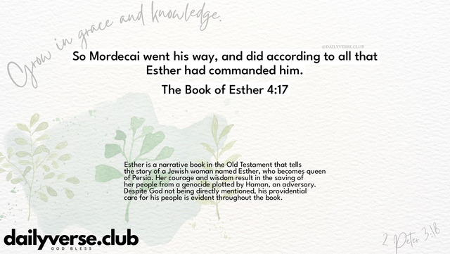Bible Verse Wallpaper 4:17 from The Book of Esther