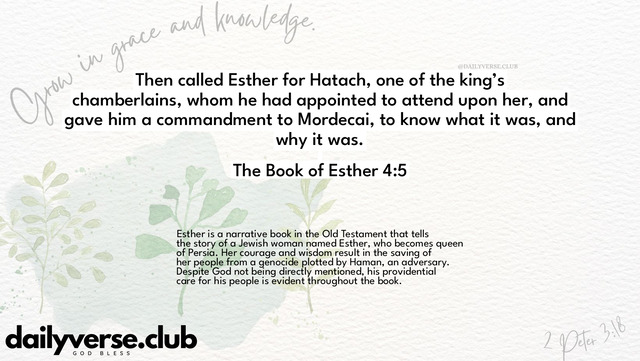 Bible Verse Wallpaper 4:5 from The Book of Esther