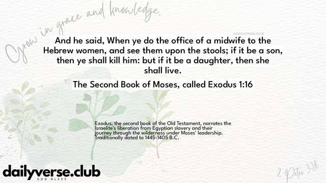 Bible Verse Wallpaper 1:16 from The Second Book of Moses, called Exodus