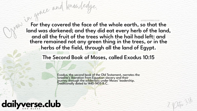 Bible Verse Wallpaper 10:15 from The Second Book of Moses, called Exodus