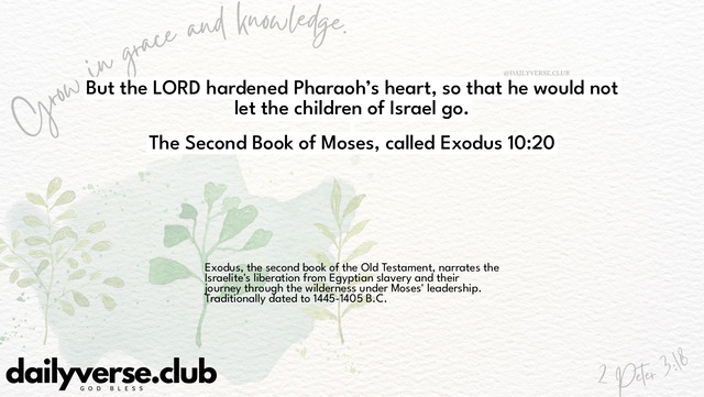 Bible Verse Wallpaper 10:20 from The Second Book of Moses, called Exodus
