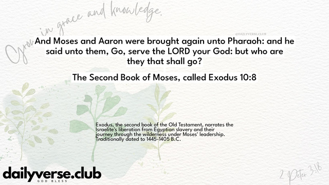 Bible Verse Wallpaper 10:8 from The Second Book of Moses, called Exodus