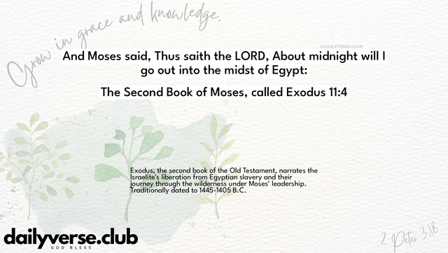 Bible Verse Wallpaper 11:4 from The Second Book of Moses, called Exodus