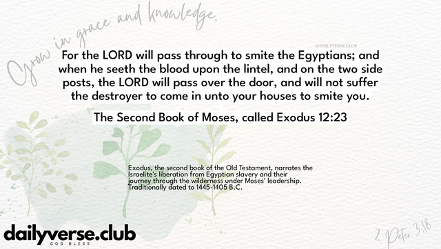 Bible Verse Wallpaper 12:23 from The Second Book of Moses, called Exodus