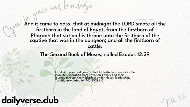 Bible Verse Wallpaper 12:29 from The Second Book of Moses, called Exodus