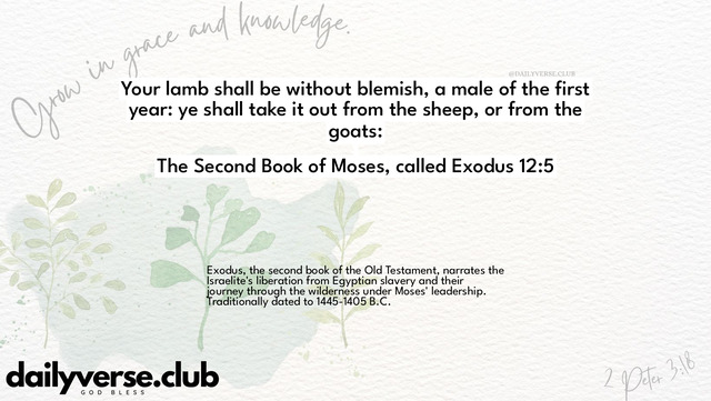 Bible Verse Wallpaper 12:5 from The Second Book of Moses, called Exodus