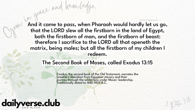 Bible Verse Wallpaper 13:15 from The Second Book of Moses, called Exodus