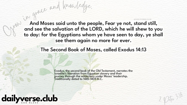 Bible Verse Wallpaper 14:13 from The Second Book of Moses, called Exodus