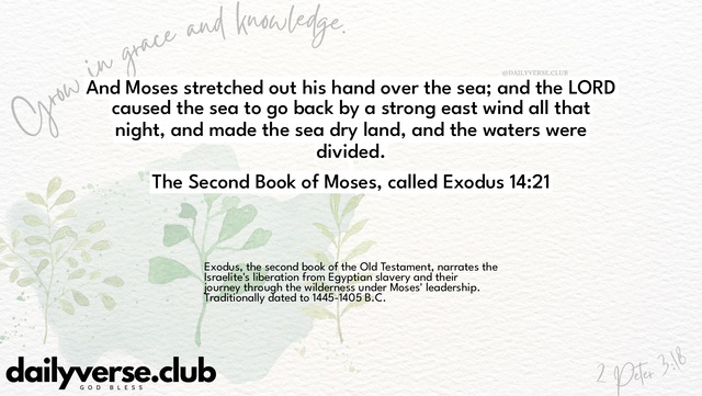 Bible Verse Wallpaper 14:21 from The Second Book of Moses, called Exodus