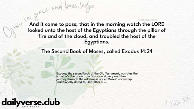 Bible Verse Wallpaper 14:24 from The Second Book of Moses, called Exodus