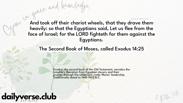 Bible Verse Wallpaper 14:25 from The Second Book of Moses, called Exodus