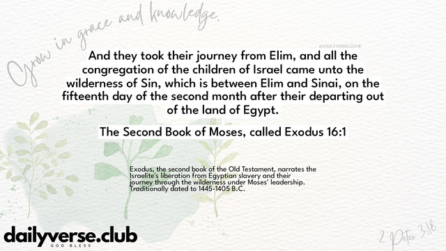 Bible Verse Wallpaper 16:1 from The Second Book of Moses, called Exodus