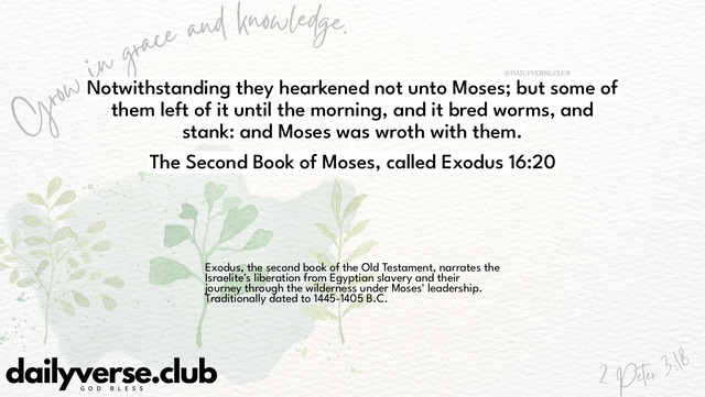 Bible Verse Wallpaper 16:20 from The Second Book of Moses, called Exodus