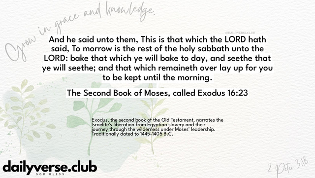 Bible Verse Wallpaper 16:23 from The Second Book of Moses, called Exodus