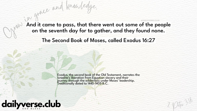 Bible Verse Wallpaper 16:27 from The Second Book of Moses, called Exodus