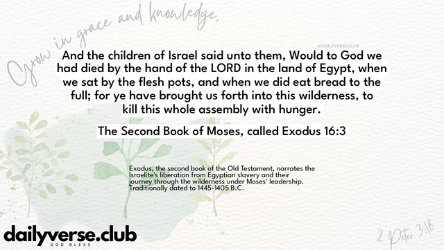 Bible Verse Wallpaper 16:3 from The Second Book of Moses, called Exodus