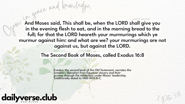 Bible Verse Wallpaper 16:8 from The Second Book of Moses, called Exodus