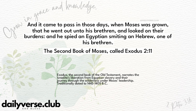 Bible Verse Wallpaper 2:11 from The Second Book of Moses, called Exodus