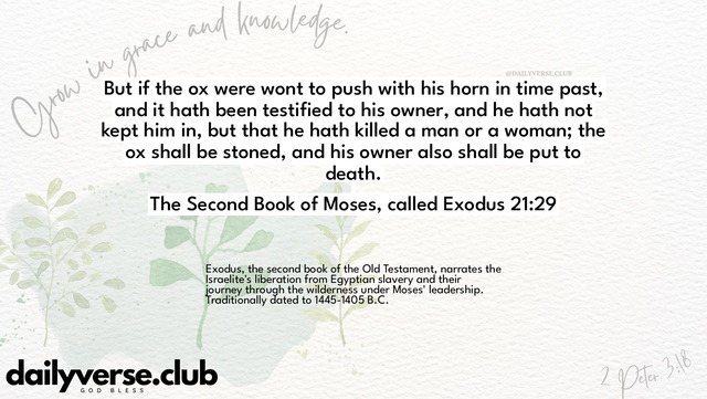 Bible Verse Wallpaper 21:29 from The Second Book of Moses, called Exodus