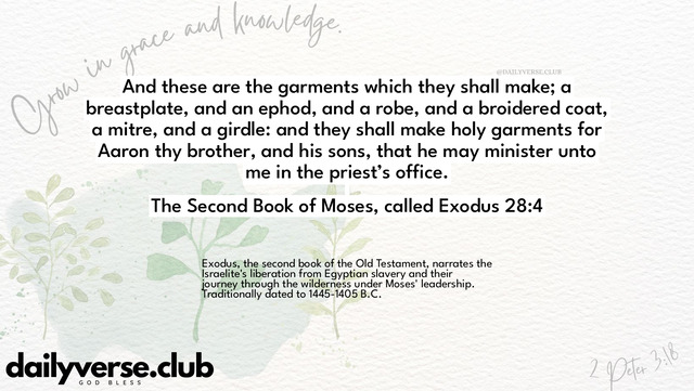 Bible Verse Wallpaper 28:4 from The Second Book of Moses, called Exodus