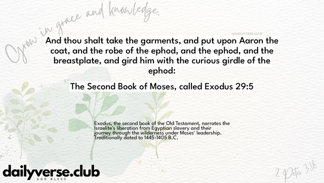 Bible Verse Wallpaper 29:5 from The Second Book of Moses, called Exodus