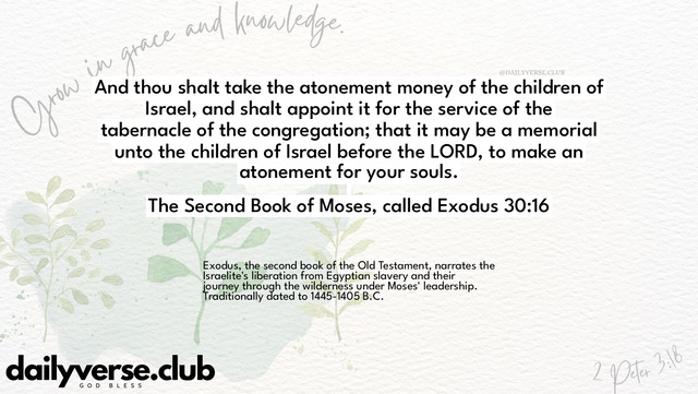 Bible Verse Wallpaper 30:16 from The Second Book of Moses, called Exodus