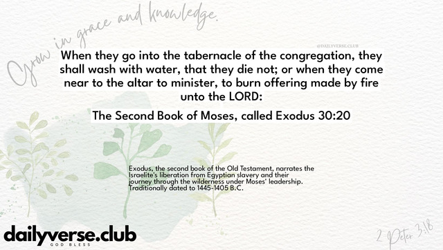 Bible Verse Wallpaper 30:20 from The Second Book of Moses, called Exodus