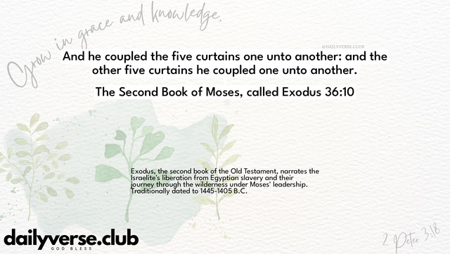 Bible Verse Wallpaper 36:10 from The Second Book of Moses, called Exodus