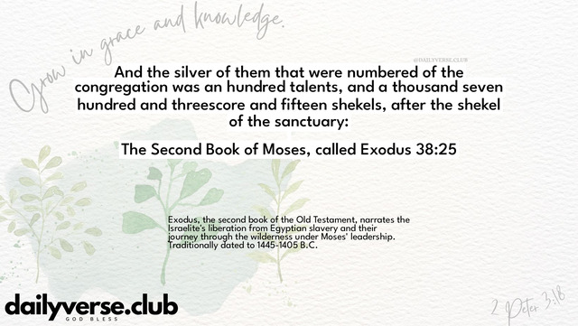 Bible Verse Wallpaper 38:25 from The Second Book of Moses, called Exodus