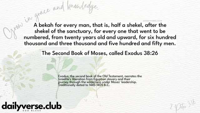 Bible Verse Wallpaper 38:26 from The Second Book of Moses, called Exodus