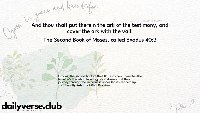 Bible Verse Wallpaper 40:3 from The Second Book of Moses, called Exodus
