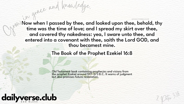 Bible Verse Wallpaper 16:8 from The Book of the Prophet Ezekiel