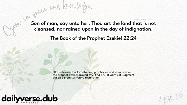 Bible Verse Wallpaper 22:24 from The Book of the Prophet Ezekiel