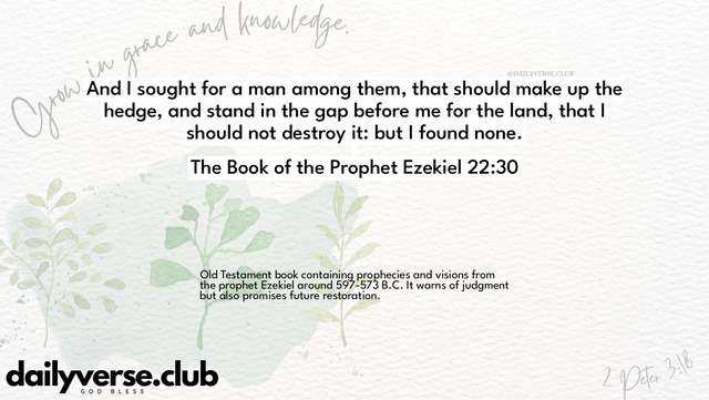 Bible Verse Wallpaper 22:30 from The Book of the Prophet Ezekiel