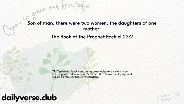 Bible Verse Wallpaper 23:2 from The Book of the Prophet Ezekiel