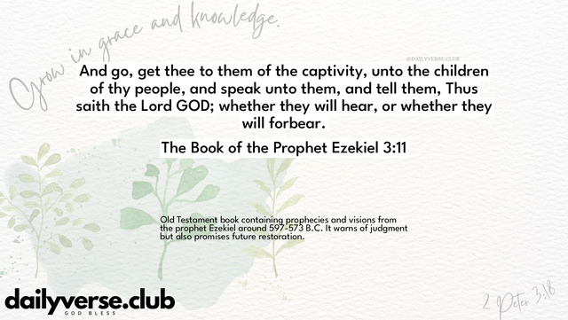 Bible Verse Wallpaper 3:11 from The Book of the Prophet Ezekiel
