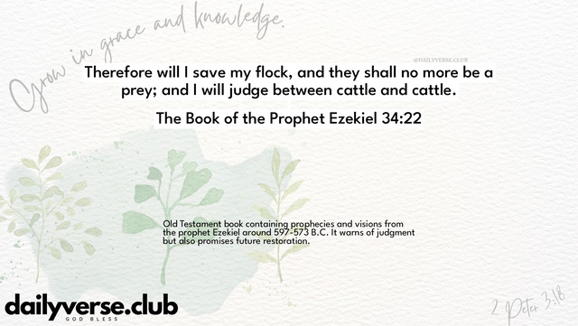 Bible Verse Wallpaper 34:22 from The Book of the Prophet Ezekiel